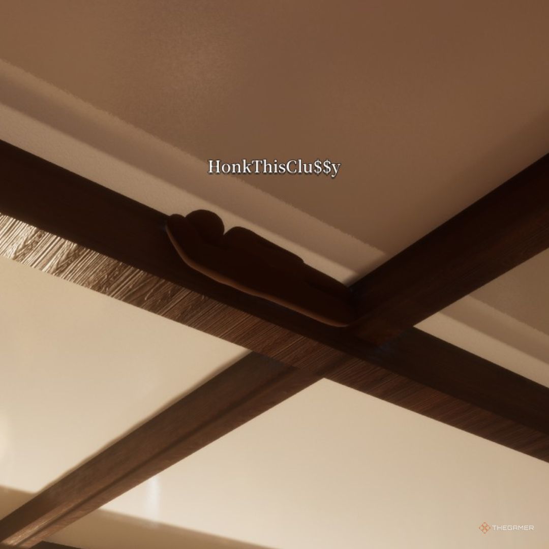 Ceiling Pillar hiding spot on Mansion